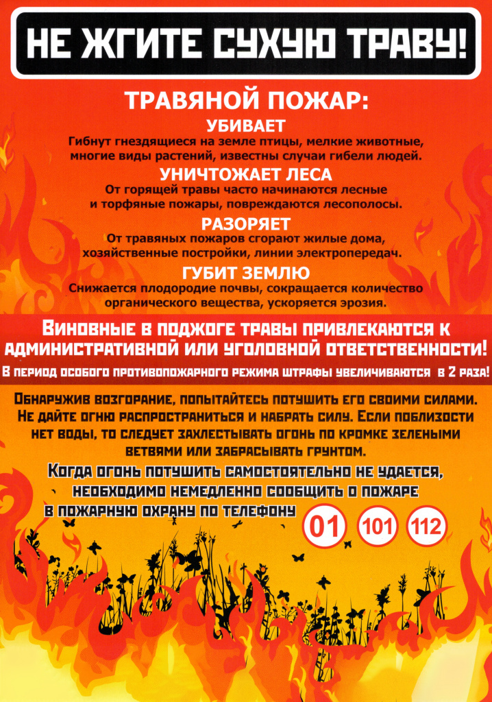 противопожарный баннер.jpg противопожарный баннер.jpg